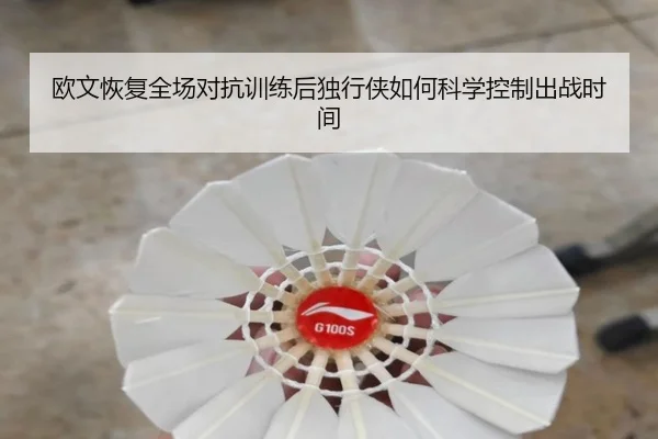 欧文恢复全场对抗训练后独行侠如何科学控制出战时间